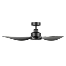 Torquay DC Ceiling Fan with Remote Control